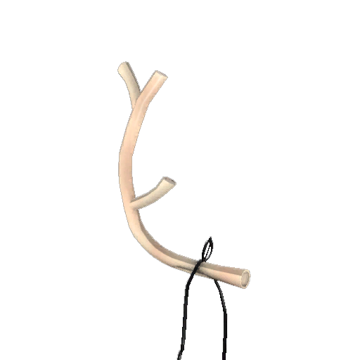 Realistic Prancer's Pride