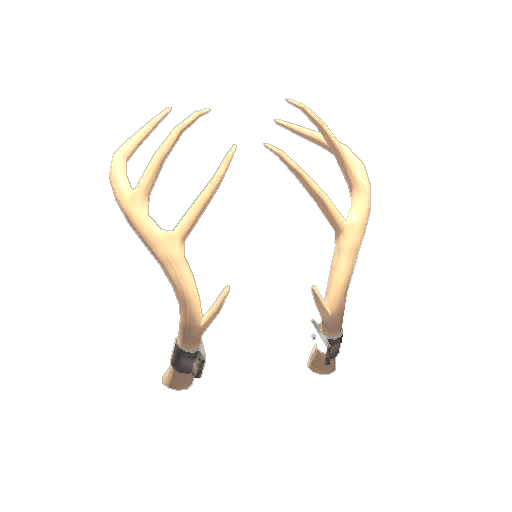 Realistic Exquisite Rack