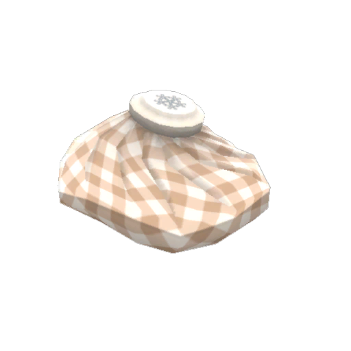 Realistic Doctor's Sack