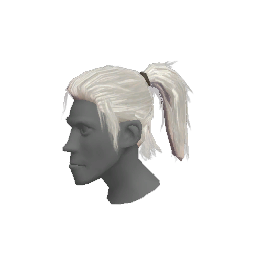 Realistic Hero's Tail