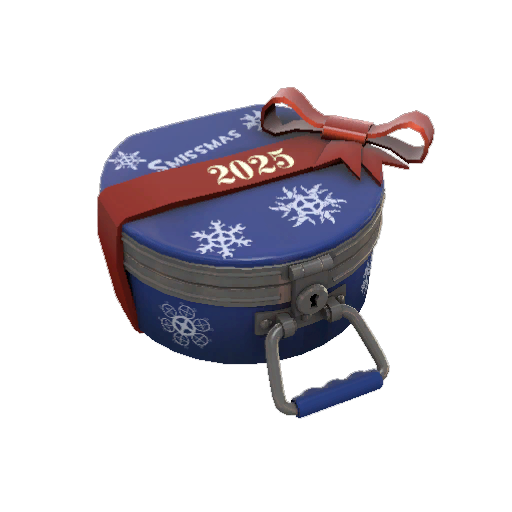 Realistic Winter 2025 Cosmetic Case